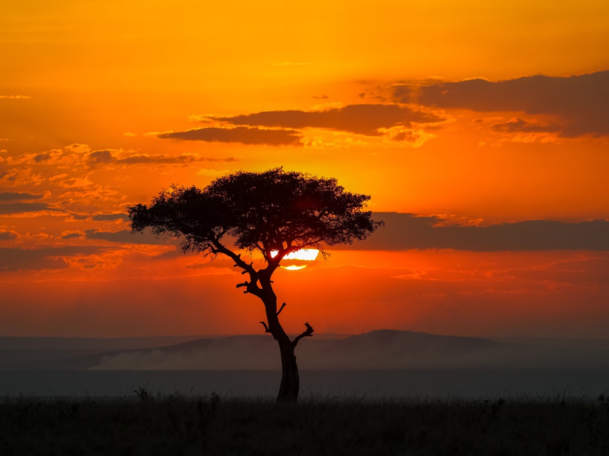 JW Marriott Masai Mara Resort&nbsp;Review